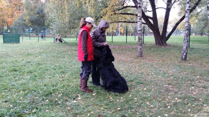 Фотография № 165313