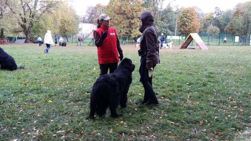 Фотография № 165314