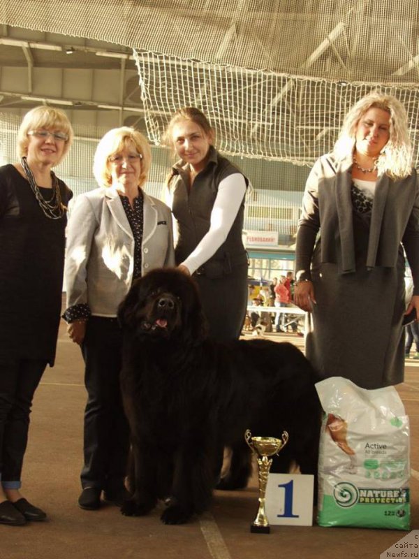 Фотография № 165345