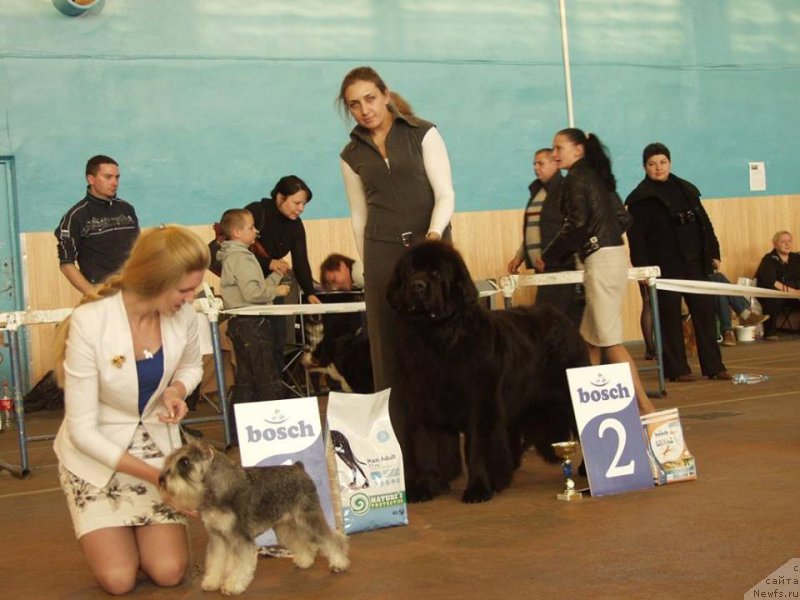 Фотография № 165346