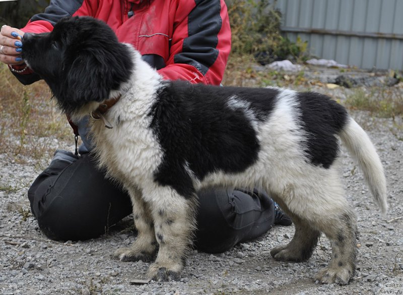 Фотография № 165360