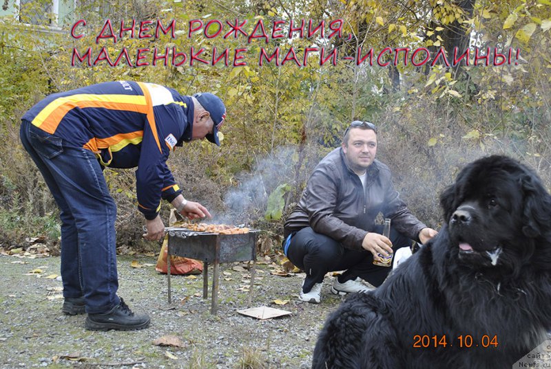 Фотография № 165370