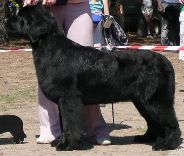 Фотография № 16540