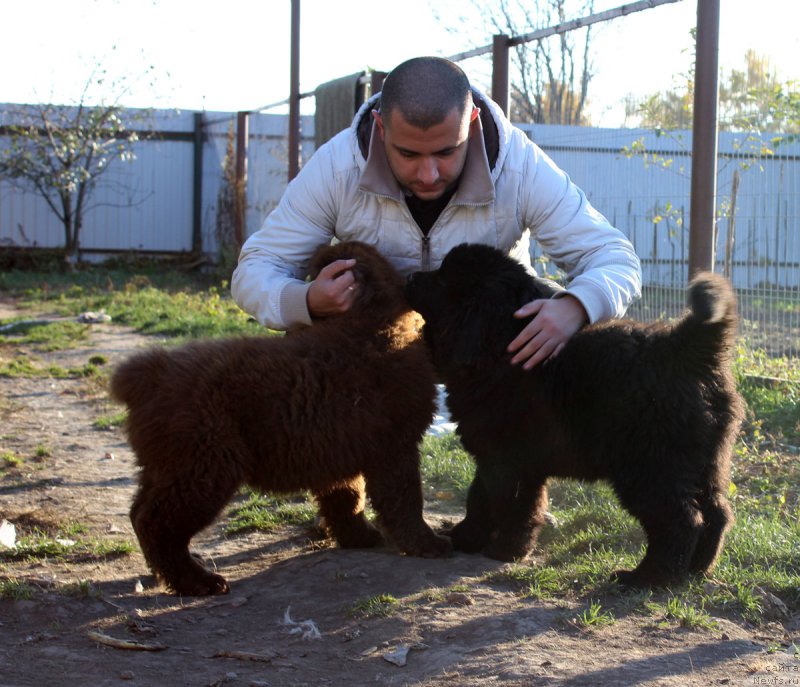 Фотография № 165415