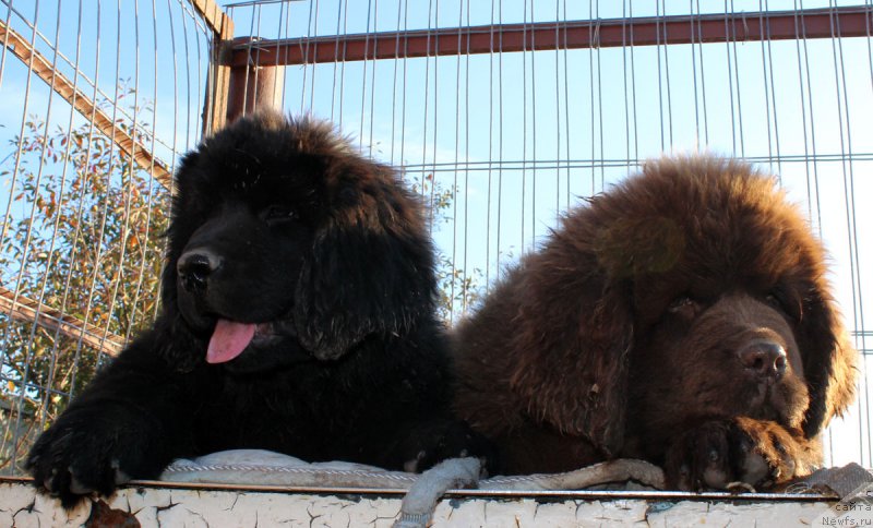 Фотография № 165419