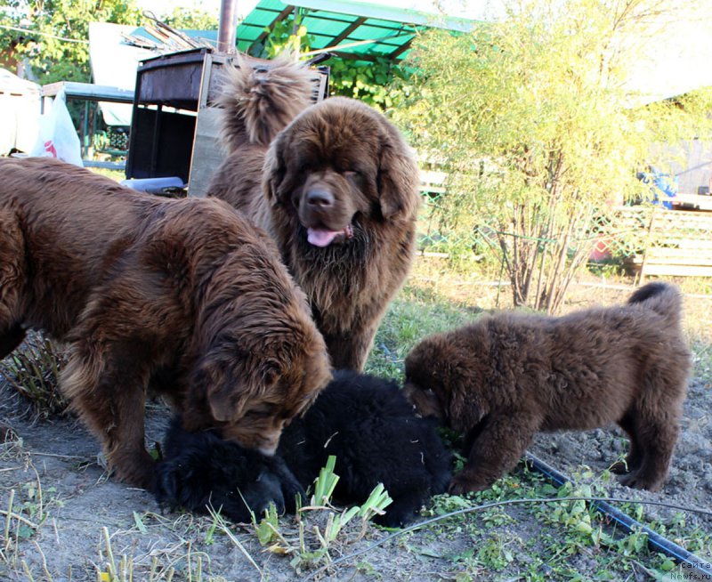 Фотография № 165422