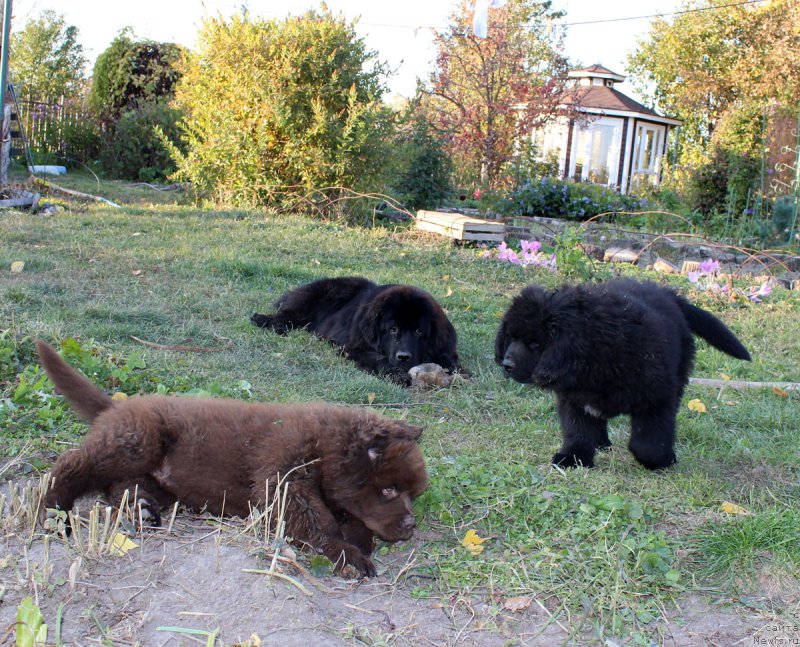 Фотография № 165424