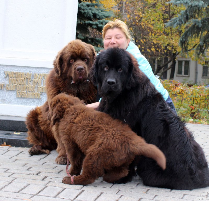 Фотография № 165515