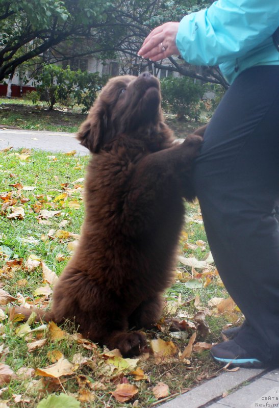 Фотография № 165516