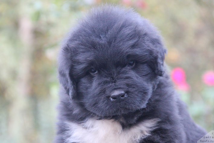 Фотография № 165523