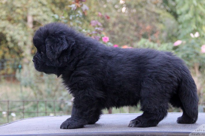 Фотография № 165535