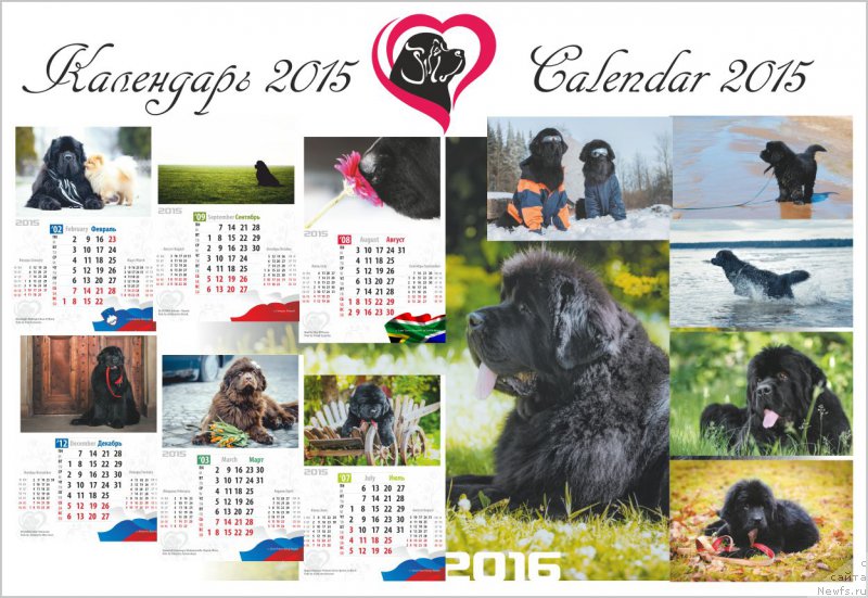 Фото: Ольга Королева, Екатерина Заславская, Татьяна Кугель, Елена Шмелева, Максим Канунников, Ольга Браславская, Анна Пронская, Екатерина Заславская, Ирина Хатунцева