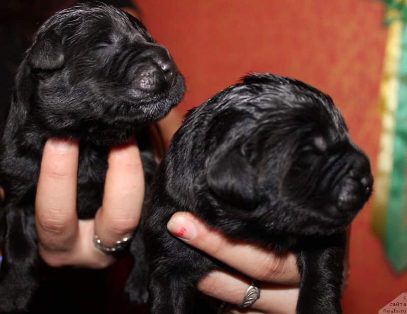 Фотография № 165562