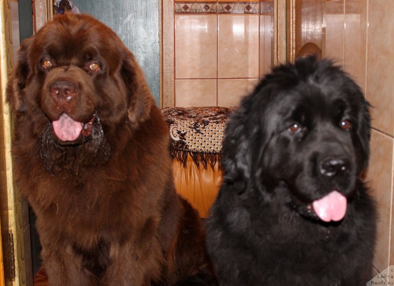 Фотография № 165567