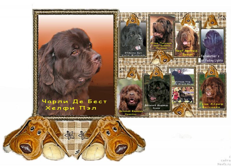 Фотография № 165568