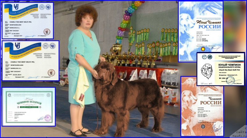 Фотография № 165569