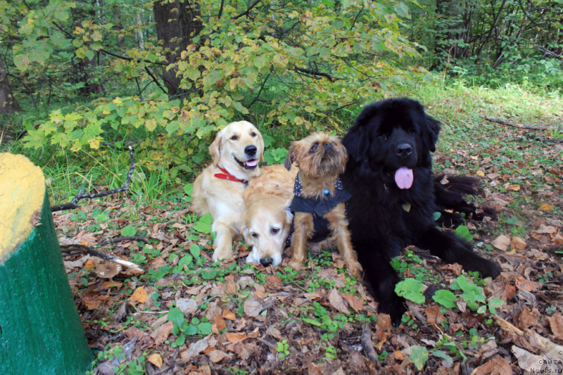 Фотография № 165579