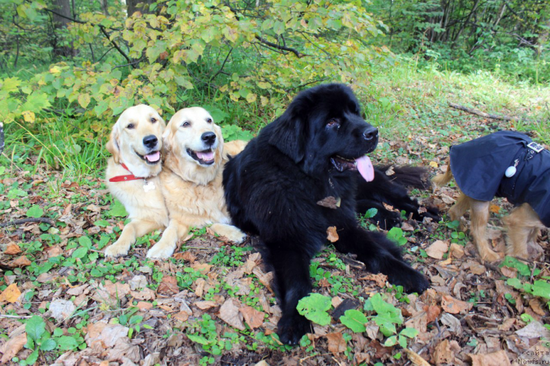 Фотография № 165580