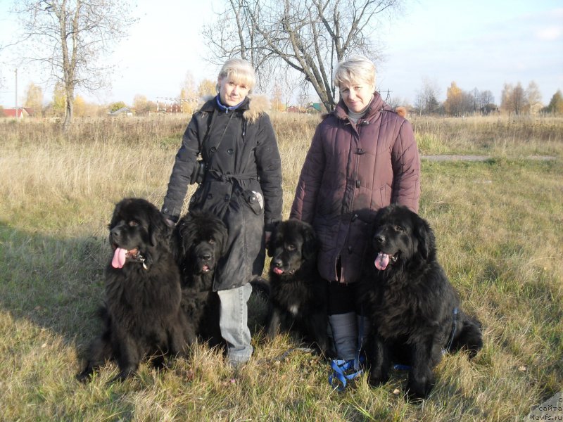 Фотография № 165585