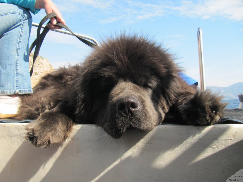 Фотография № 165587