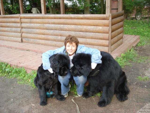 Фотография № 16563