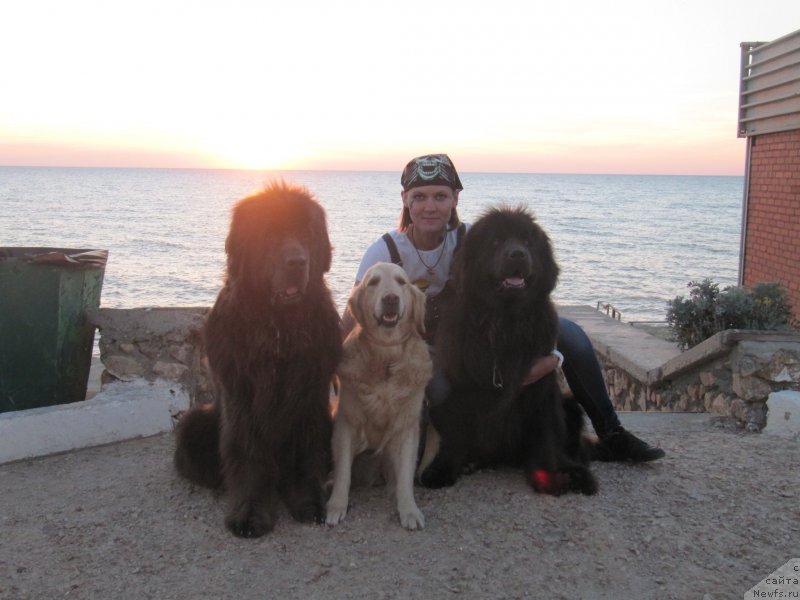 Фотография № 165635