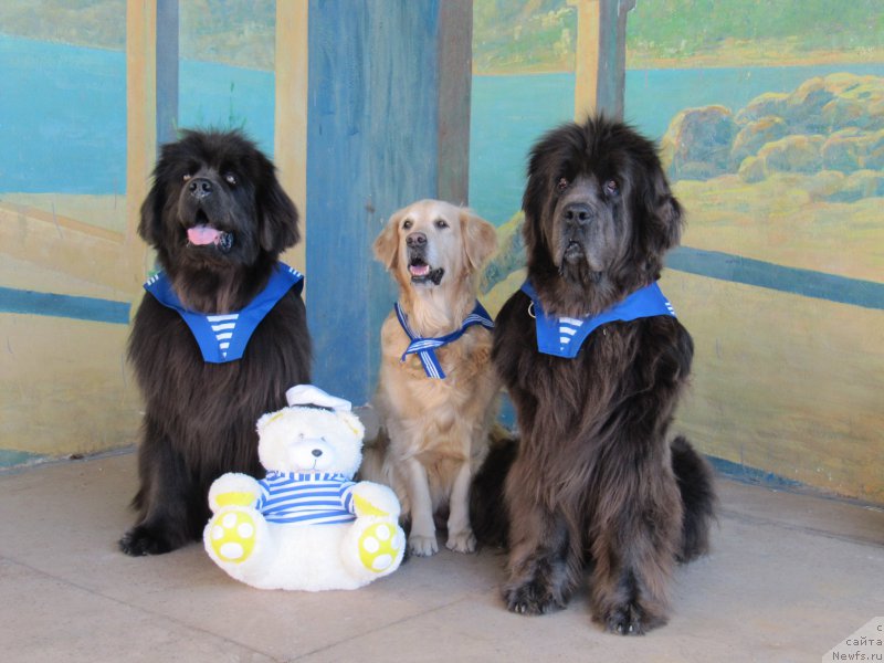 Фотография № 165636