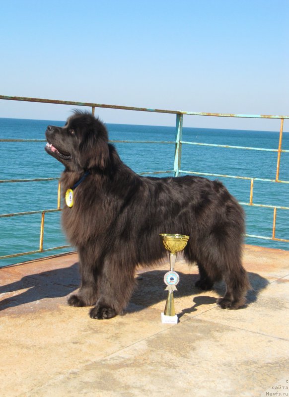 Фотография № 165639