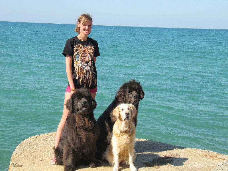 Фотография № 165641