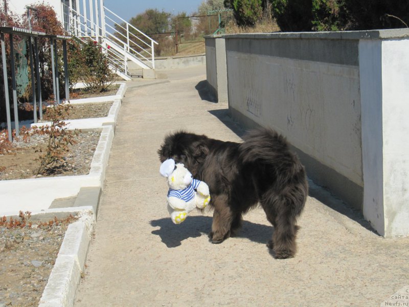 Фотография № 165643