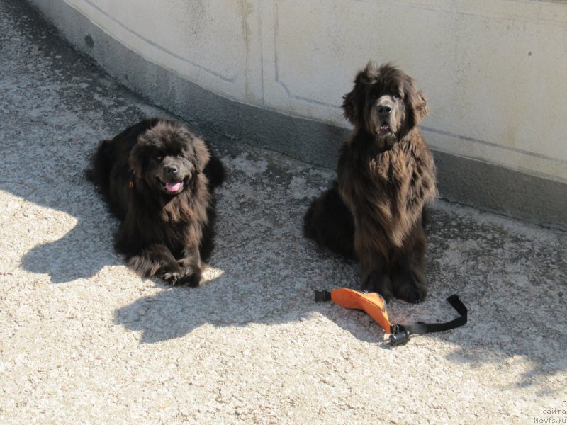 Фотография № 165644