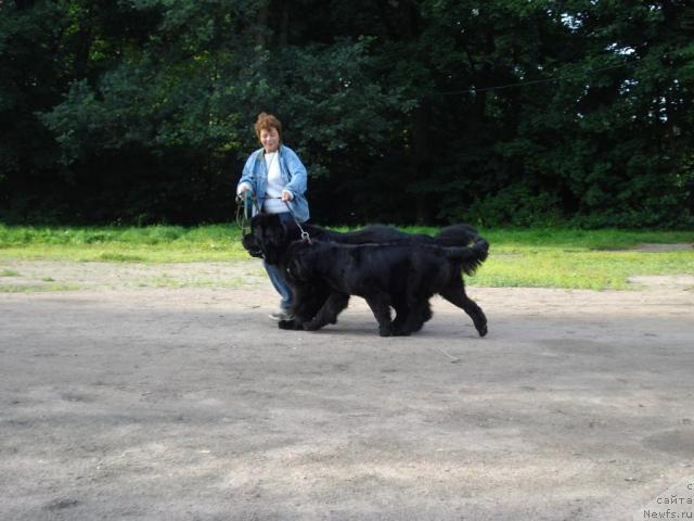 Фотография № 16565