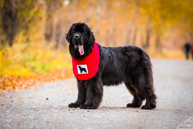 Фотография № 165664