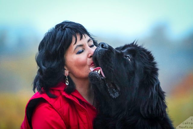 Фотография № 165672