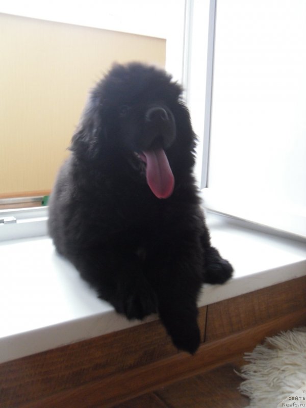 Фотография № 165681