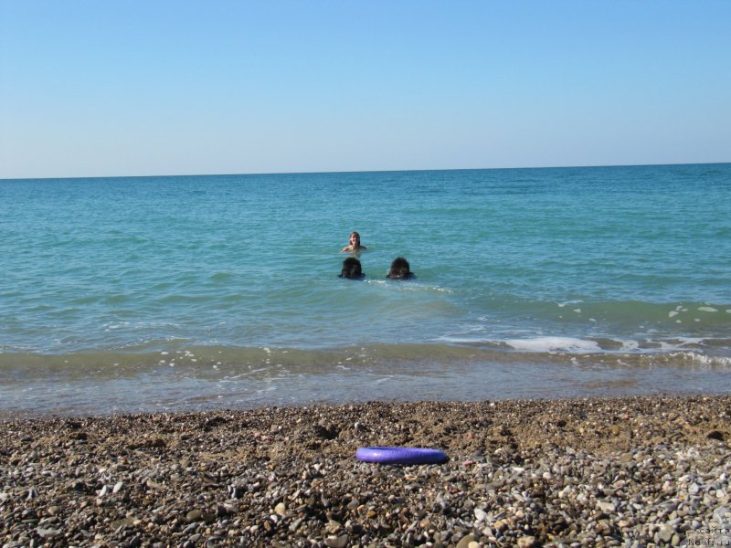 Фотография № 165691