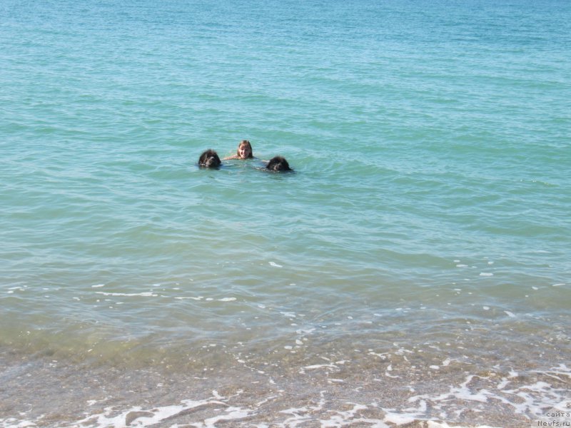 Фотография № 165692