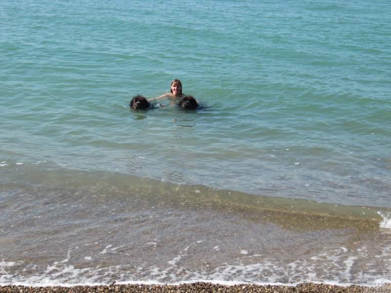 Фотография № 165693