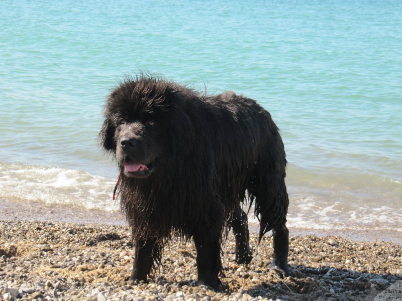 Фотография № 165695