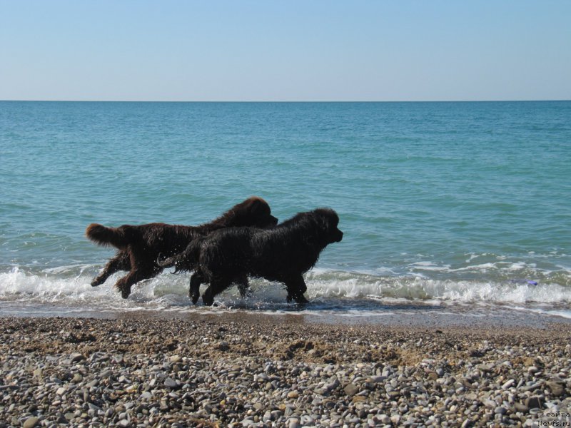 Фотография № 165697