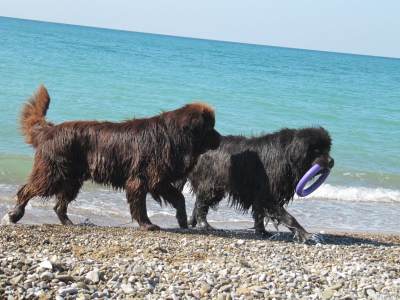 Фотография № 165699