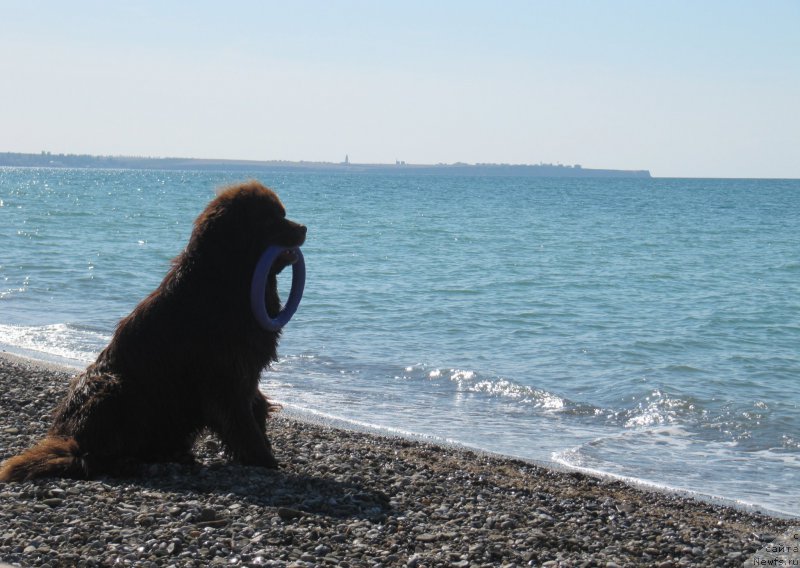 Фотография № 165701