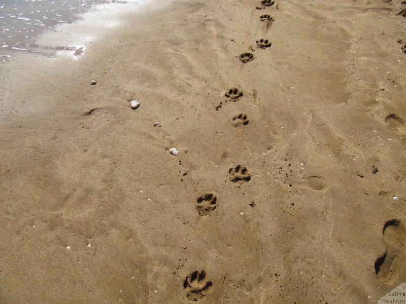 Фотография № 165708