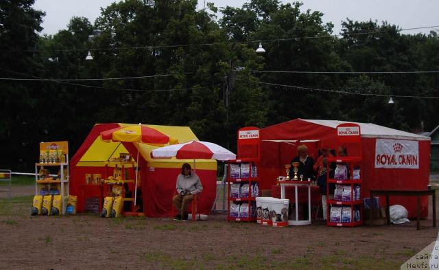 Фотография № 16575