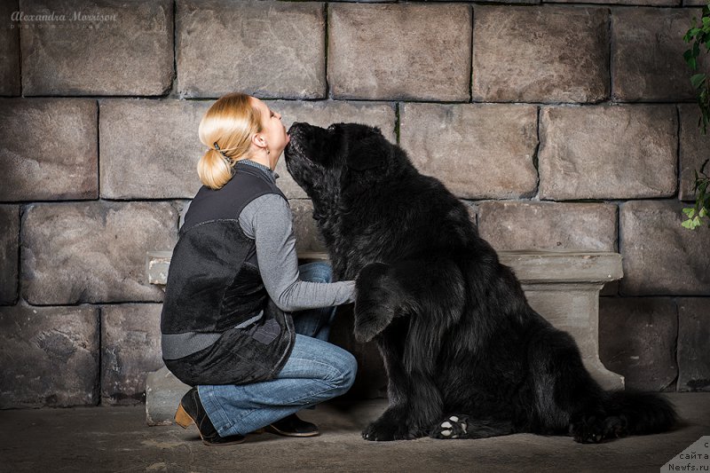 Фотография № 165758