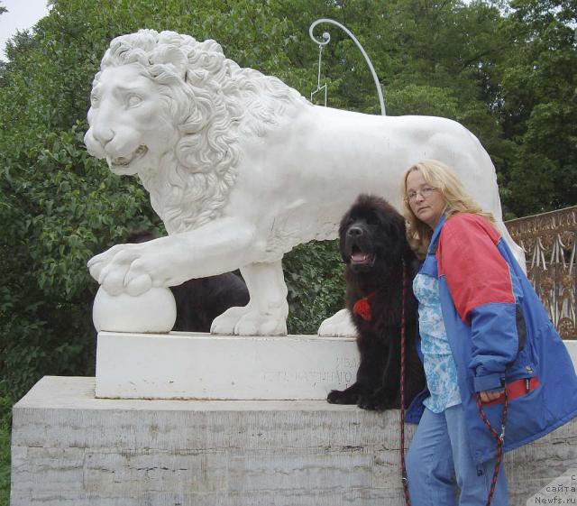 Фото: Юлия Ястребова, Kloofbear's My Dream for Sent Djons