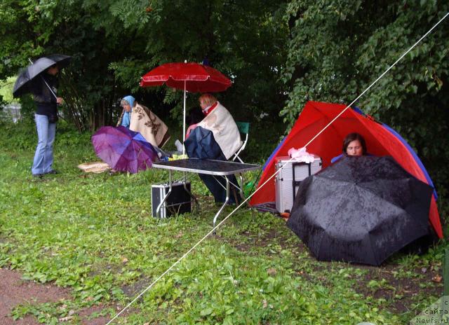 Фотография № 16578