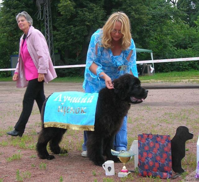 Фото: Юлия Ястребова, Kloofbear's My Dream for Sent Djons