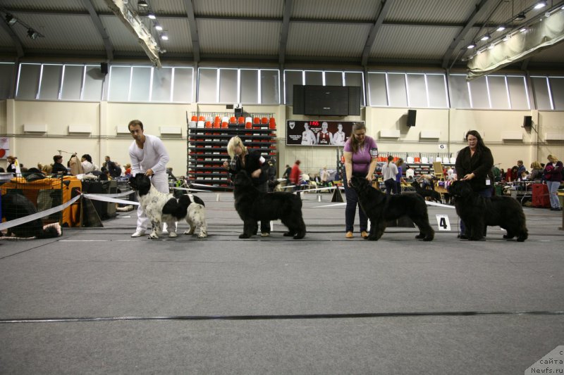 Фотография № 165816