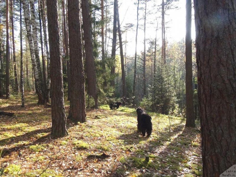 Фотография № 165837